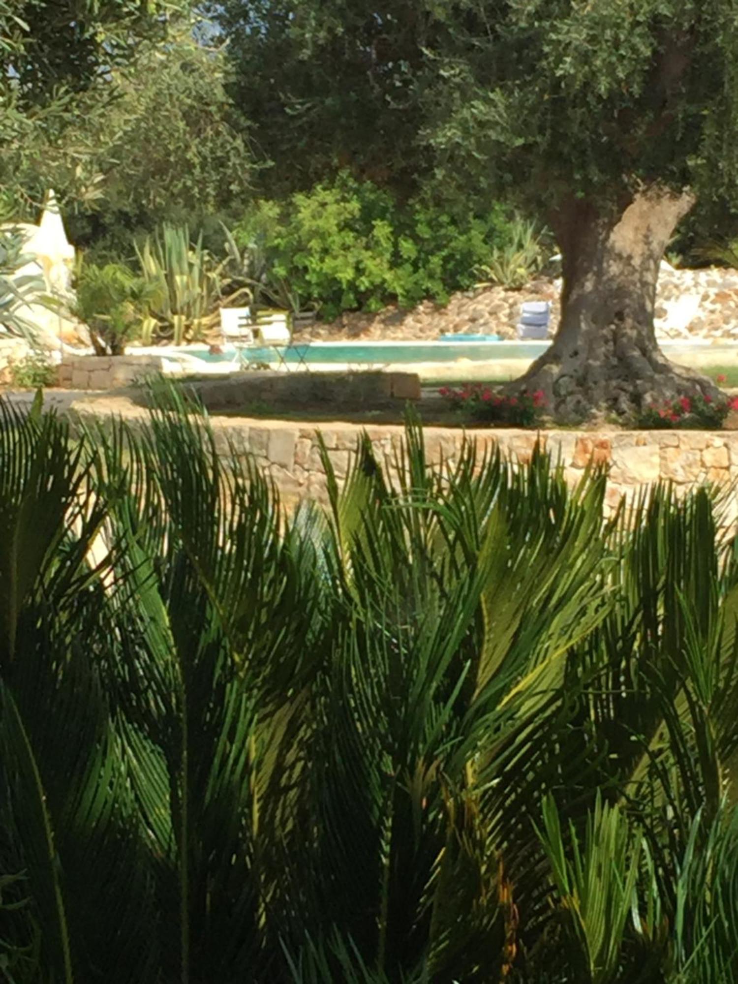I Love Trullo - Country Boutique Apartments - Villa Laura Ostuni Extérieur photo